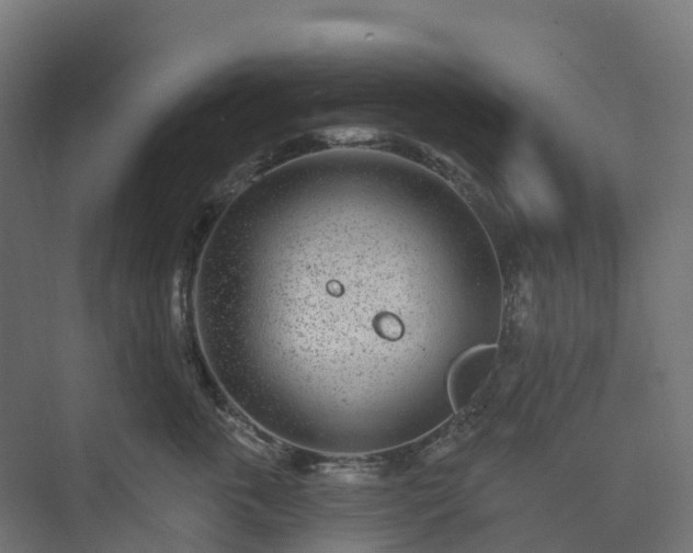 X0000074260763200609011342