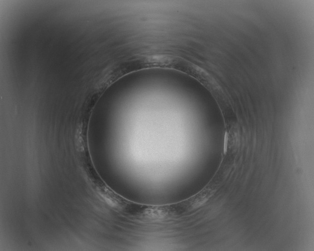 X0000074260764200609011342