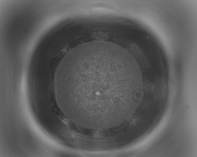 X0000074260765200609011342