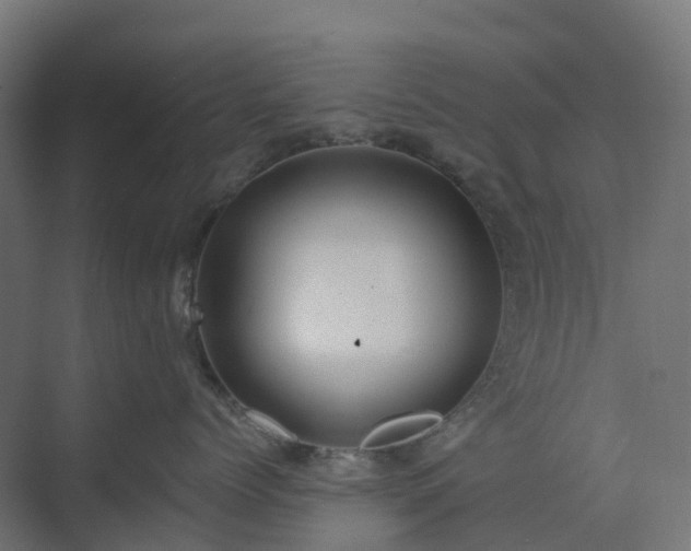 X0000074260768200609011342