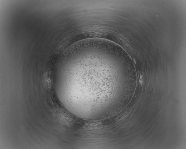 X0000074260771200609011342