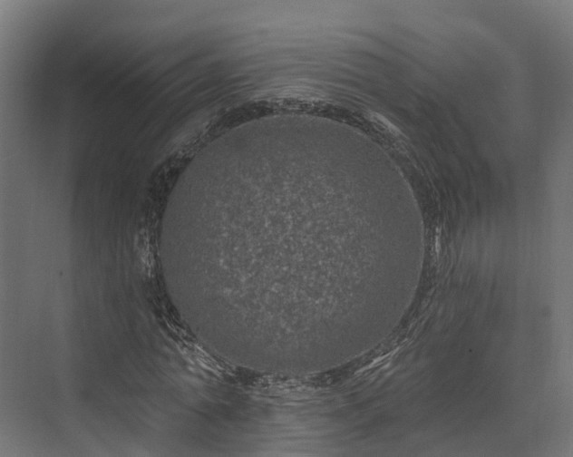 X0000074260774200609011342