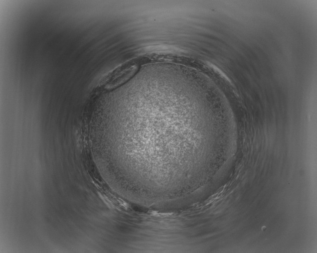 X0000074260775200609011342