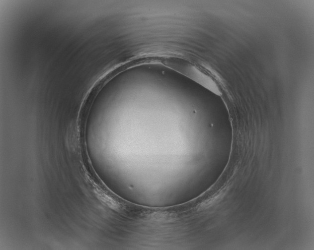 X0000074260779200609011341