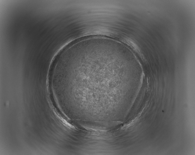 X0000074260780200609011341