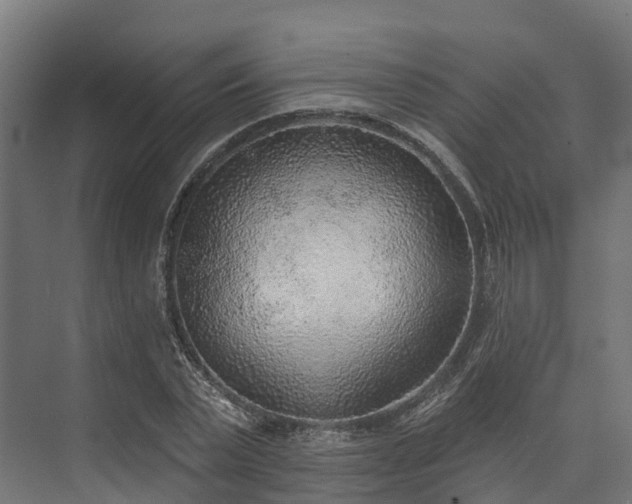 X0000074260783200609011341