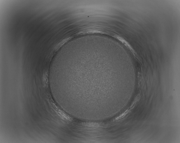 X0000074260785200609011341