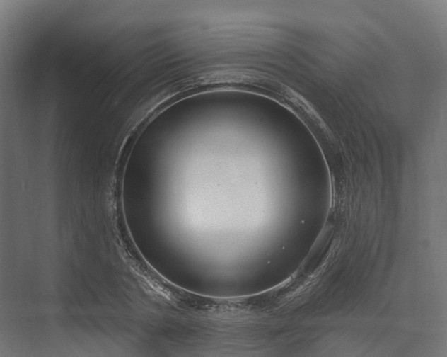 X0000074260786200609011341