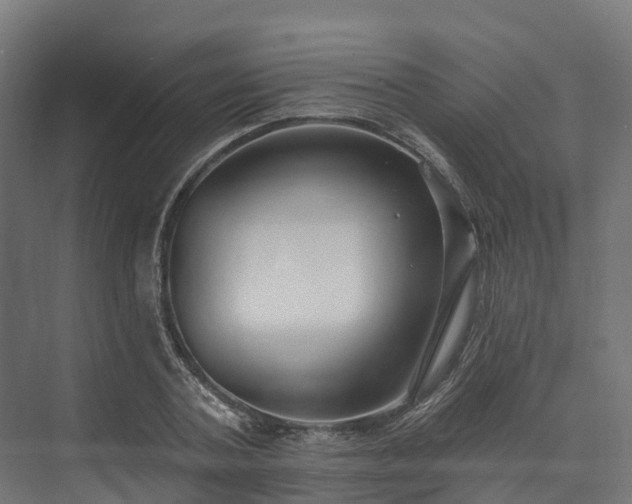 X0000074260787200609011341