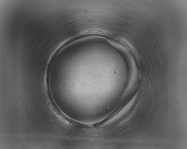 X0000074260788200609011341