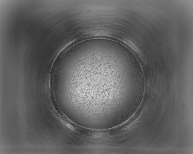 X0000074260790200609011341