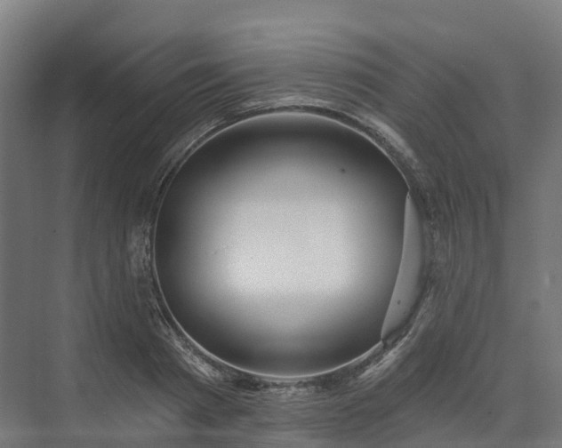 X0000074260793200609011341