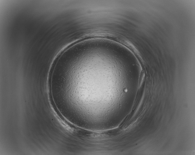 X0000074260795200609011341