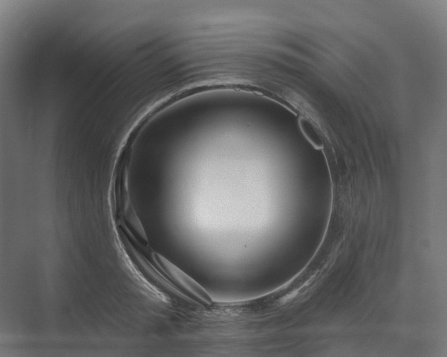 X0000074260797200609011341