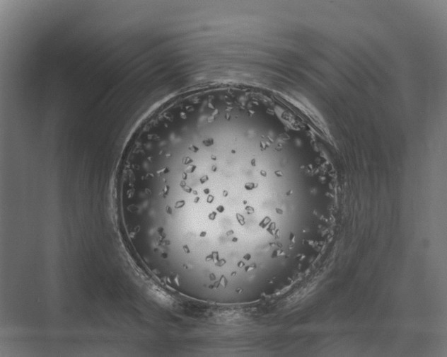 X0000074260798200609011341