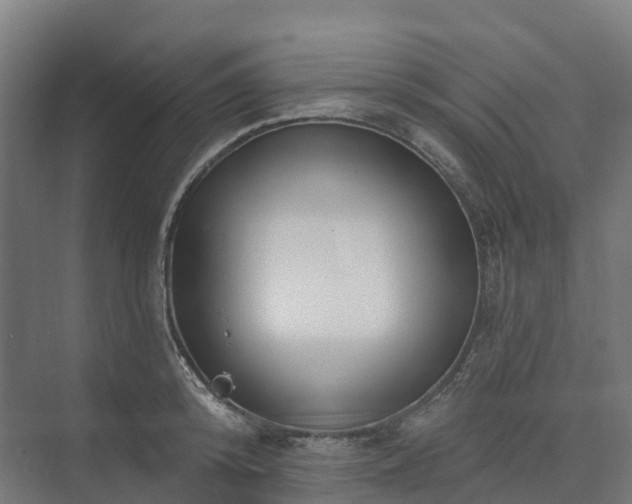 X0000074260800200609011341