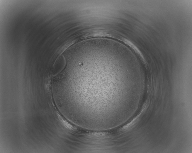 X0000074260801200609011341