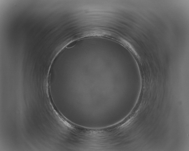 X0000074260802200609011341