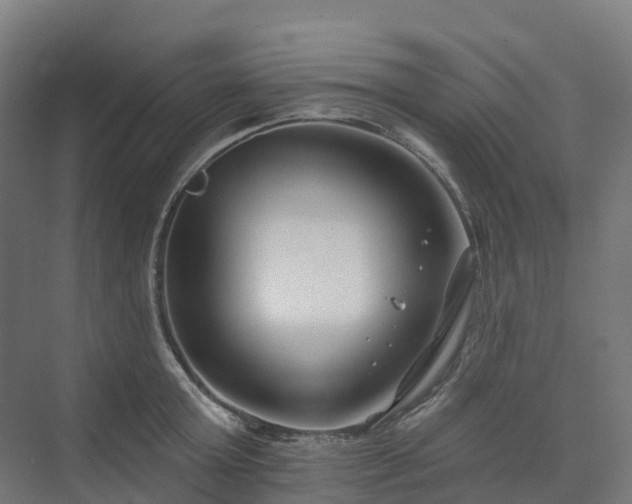 X0000074260803200609011341