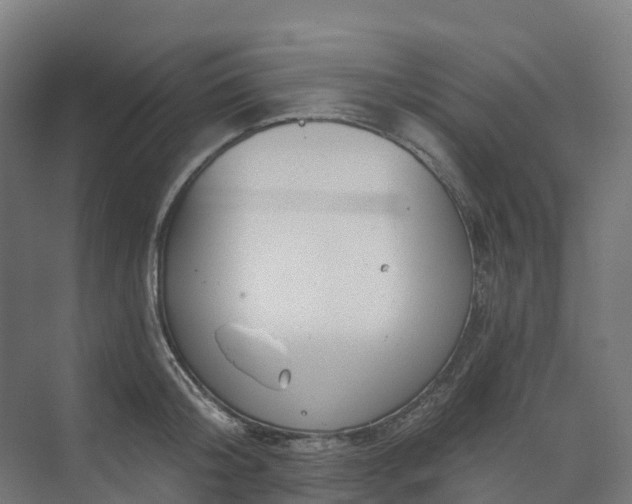 X0000074260804200609011341