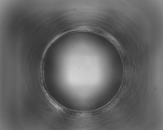 X0000074260808200609011341