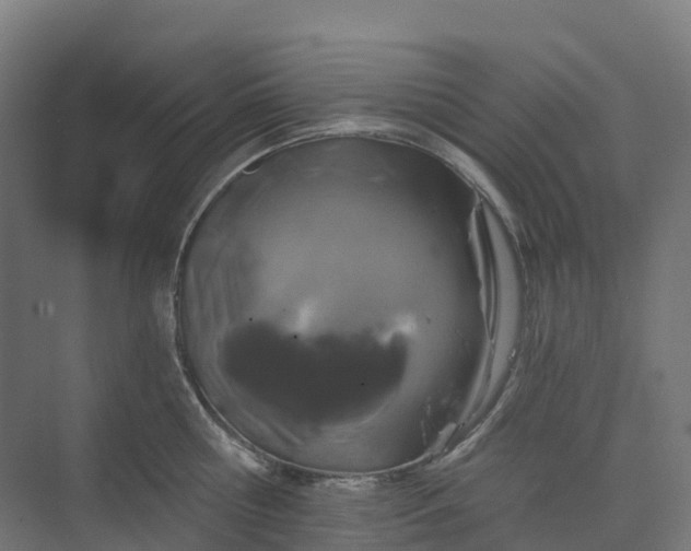 X0000074260810200609011341