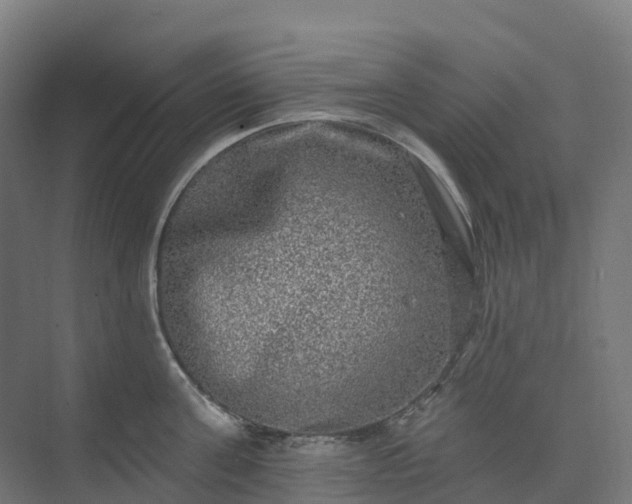 X0000074260811200609011341