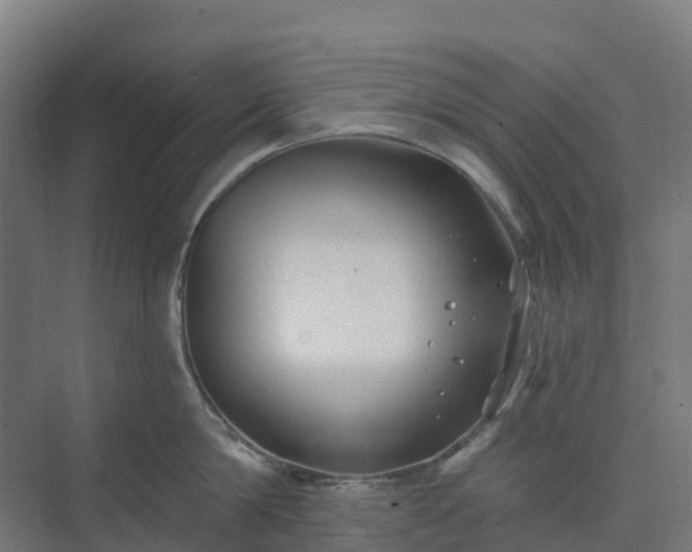 X0000074260814200609011341