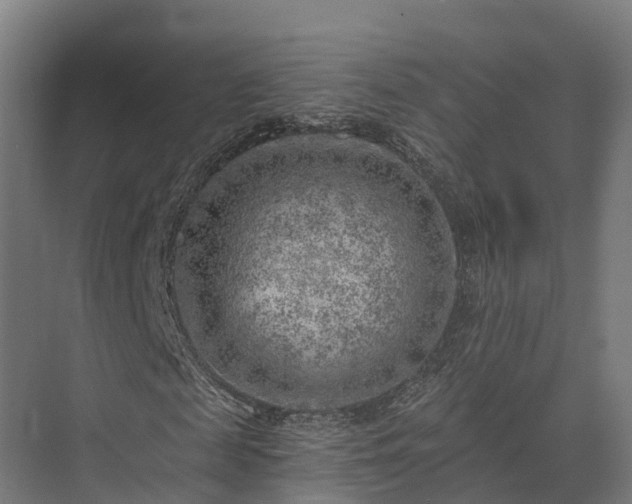 X0000074260817200609011340