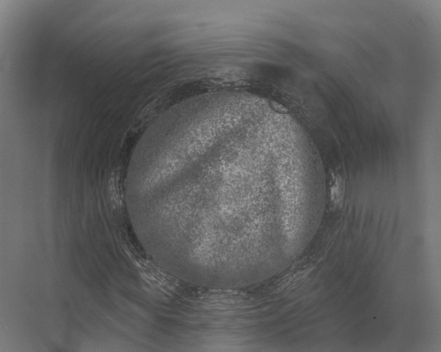 X0000074260819200609011340