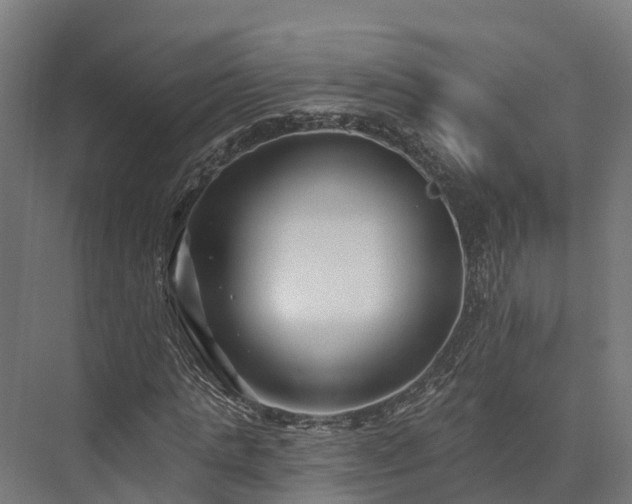 X0000074260821200609011340