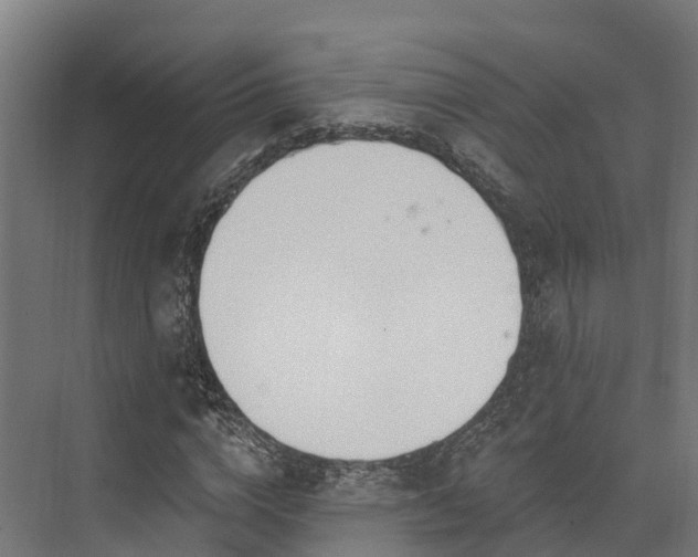 X0000074260824200609011340