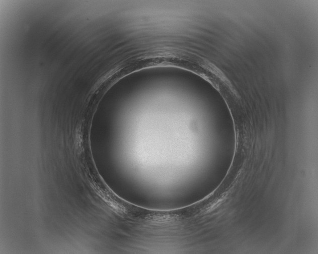 X0000074260826200609011340