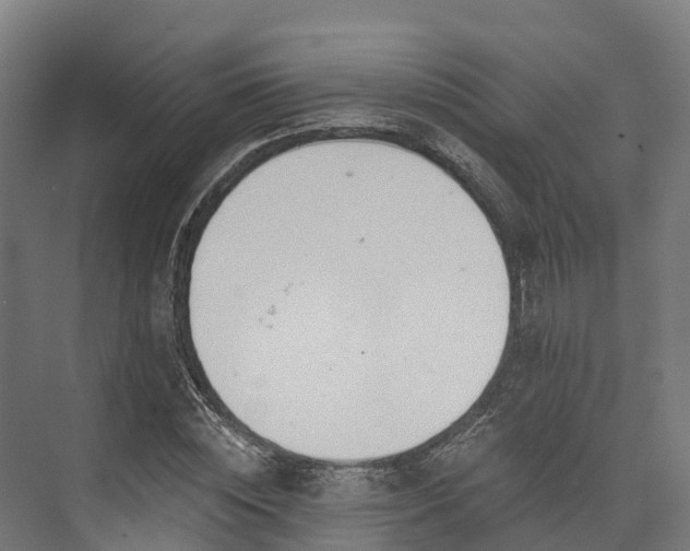 X0000074260828200609011340