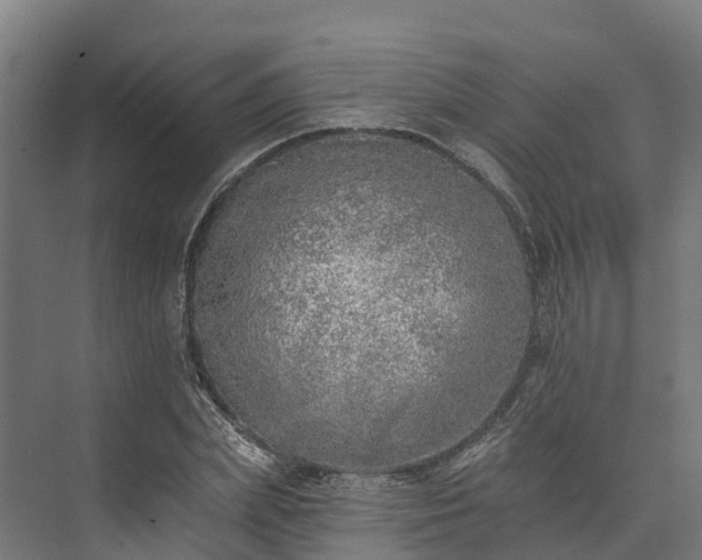 X0000074260831200609011340