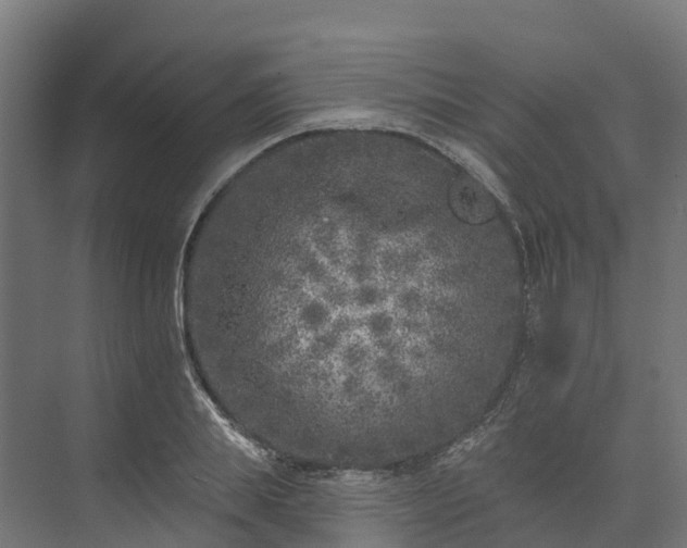 X0000074260839200609011340