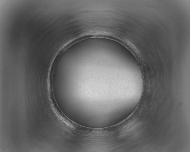 X0000074260840200609011340