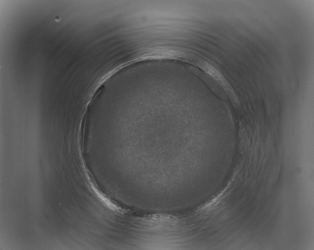 X0000074260842200609011340