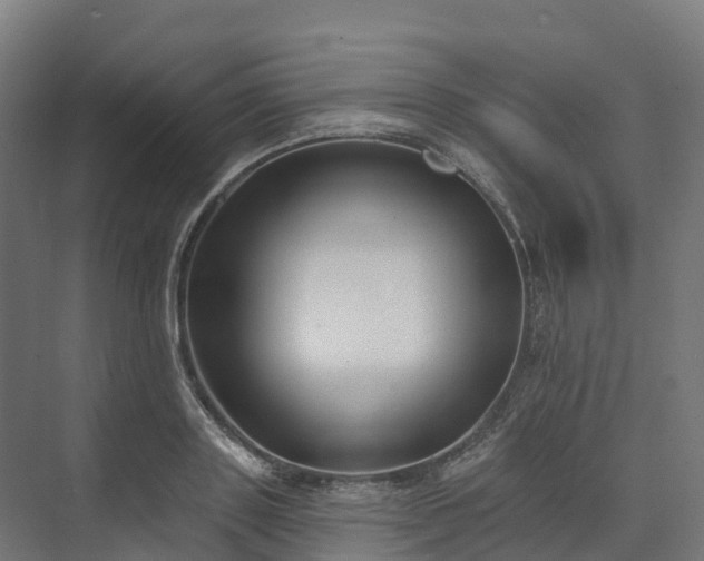 X0000074260843200609011340