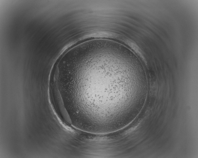 X0000074260845200609011341