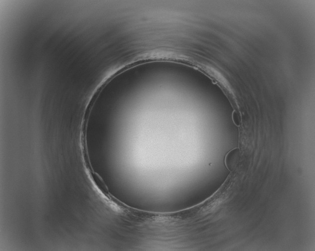 X0000074260847200609011341