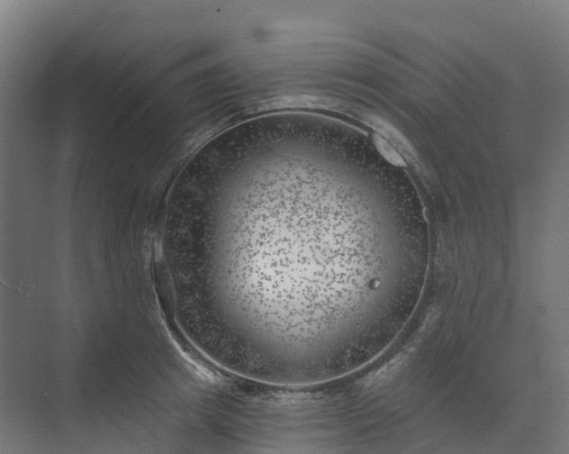 X0000074260849200609011341