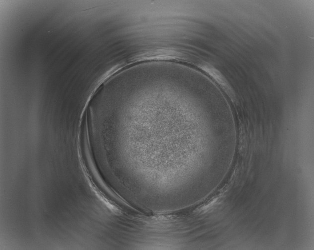 X0000074260850200609011341