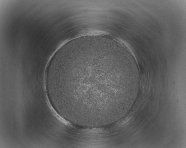 X0000074260851200609011341