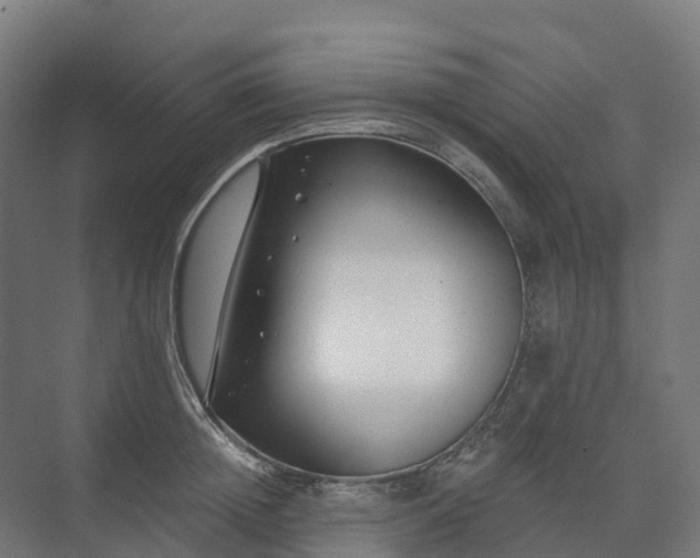 X0000074260852200609011341