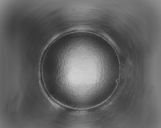 X0000074260853200609011341