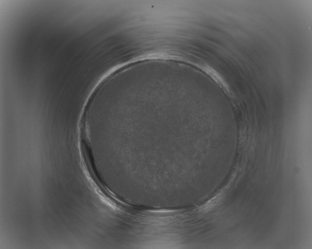 X0000074260854200609011341