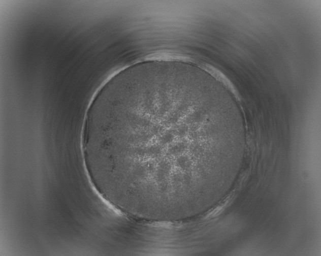 X0000074260855200609011341