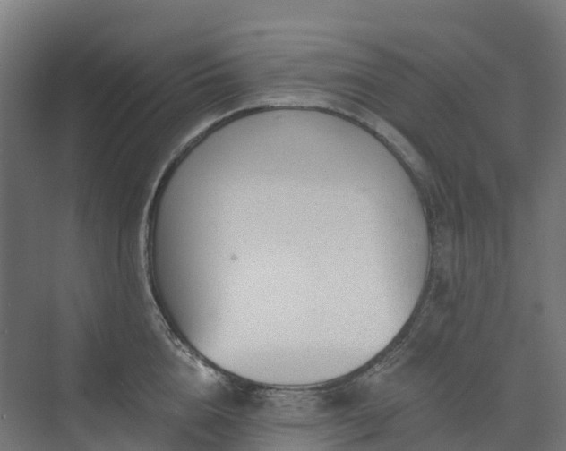 X0000074260856200609011341