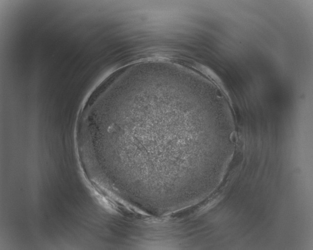 X0000074260859200609011341